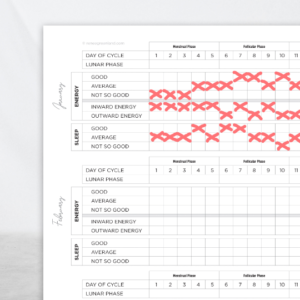 period and moon tracker closeup